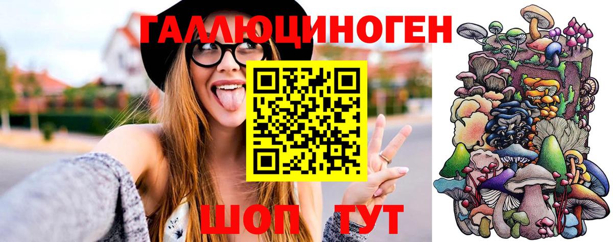 Галлюциногенные грибы Psilocybine cubensis  Вход с VPN  Мелеуз 